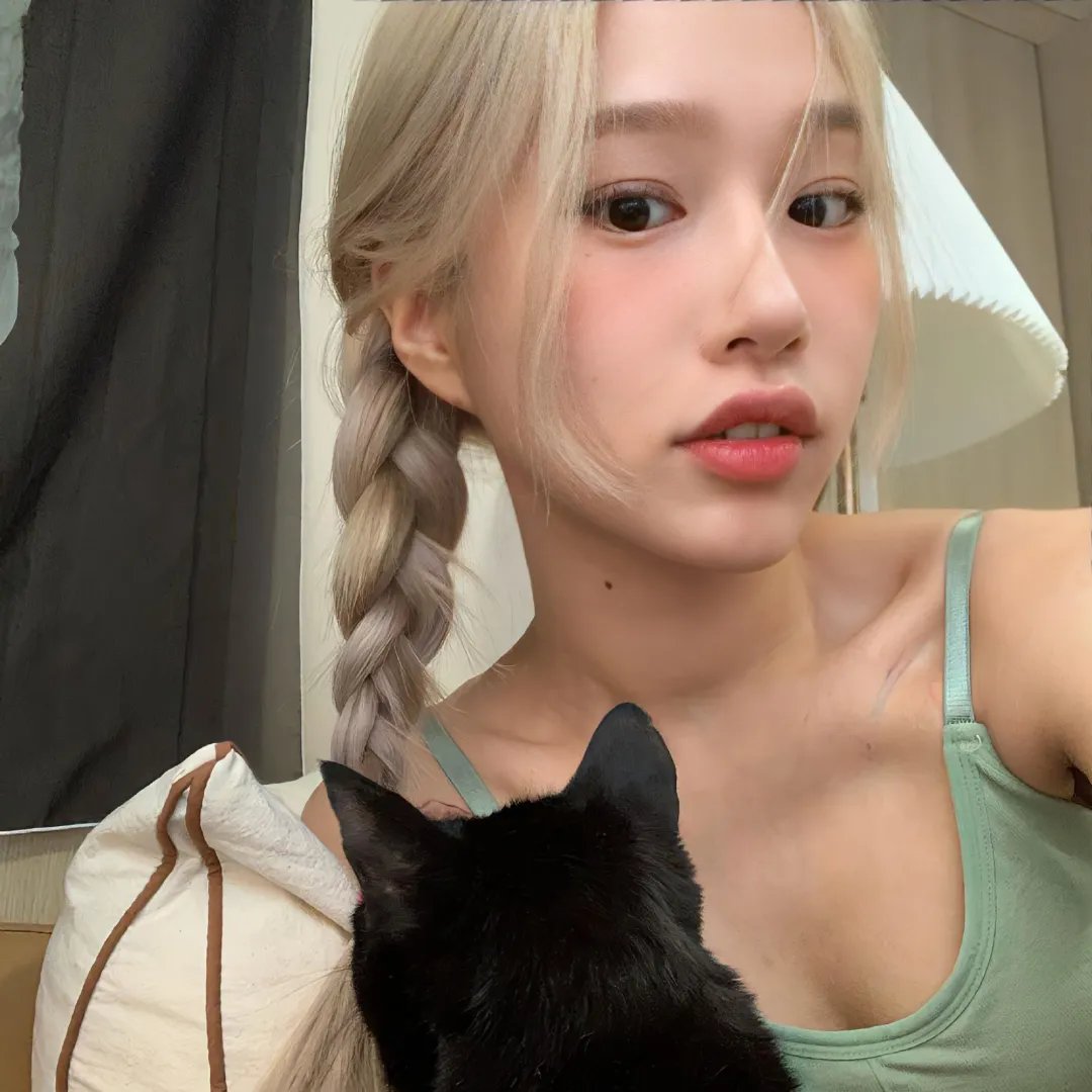 我爱猫头鹰