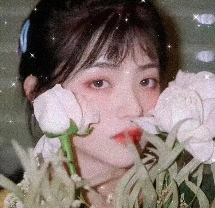 龙虎盟