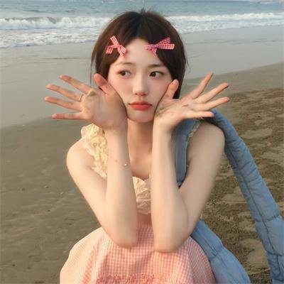 最后的飞行